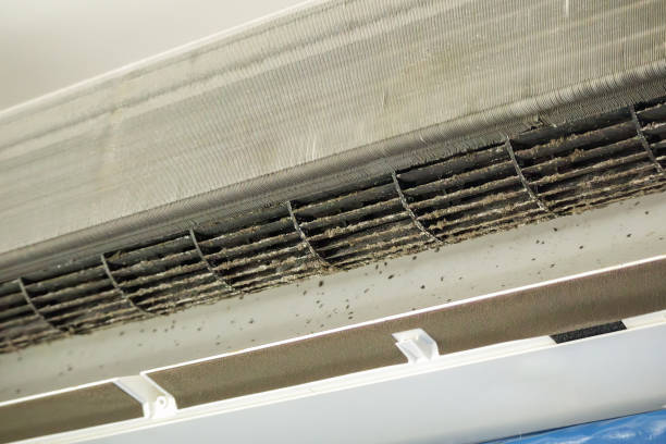 Best Air Duct Cleaning Company Near Me  in Lakeway, TX